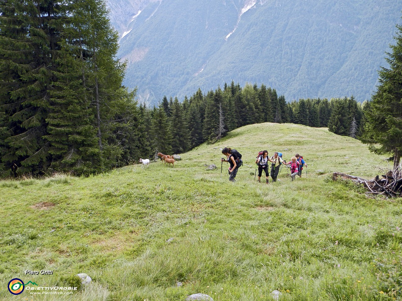 20 In decisa salita .(foto Davide).JPG